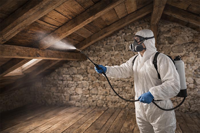 traitement de charpente Moussac exemple d'intervention