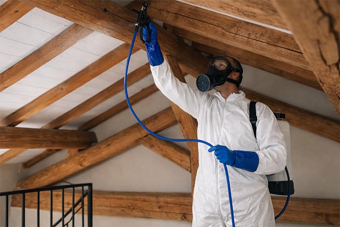 traitement de charpente Saint-Siffret exemple d'intervention